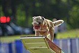 Canis donderdag