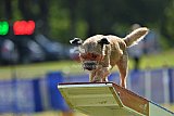 Canis donderdag