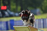 Canis donderdag