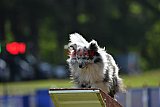 Canis donderdag