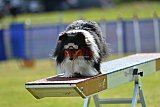 Canis donderdag