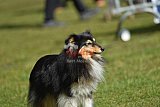 Canis donderdag