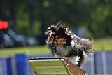 Canis donderdag
