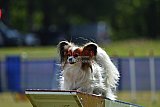 Canis donderdag