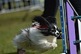 Canis donderdag
