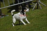 Canis donderdag
