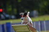 Canis donderdag