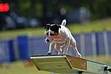 Canis donderdag