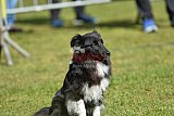 Canis donderdag