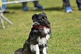 Canis donderdag