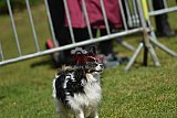 Canis donderdag