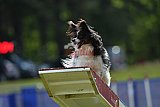 Canis donderdag