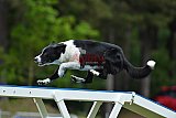 Canis donderdag