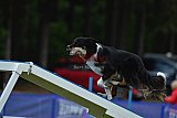 Canis donderdag