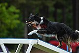 Canis donderdag