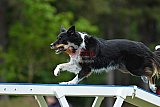 Canis donderdag