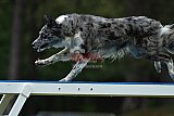 Canis donderdag
