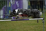 Canis donderdag