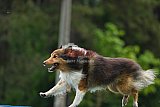 Canis donderdag