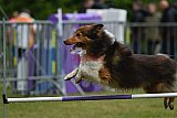 Canis donderdag