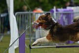 Canis donderdag