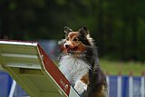 Canis donderdag