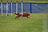 Canis donderdag