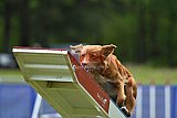 Canis donderdag