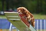 Canis donderdag