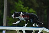 Canis donderdag