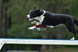 Canis donderdag