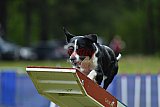 Canis donderdag