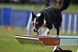 Canis donderdag