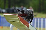 Canis donderdag