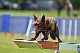 Canis donderdag