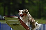 Canis donderdag