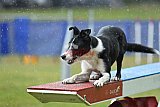 Canis donderdag