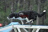 Canis donderdag