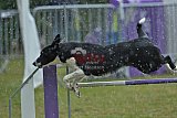 Canis donderdag