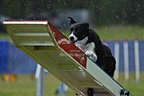 Canis donderdag