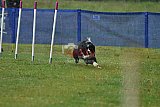 Canis donderdag