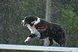 Canis donderdag