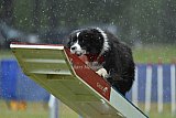 Canis donderdag