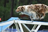 Canis donderdag