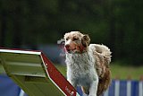 Canis donderdag