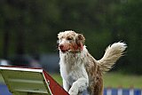 Canis donderdag