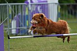 Canis donderdag