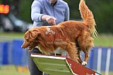 Canis donderdag