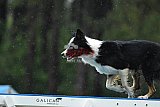 Canis donderdag