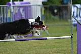 Canis donderdag